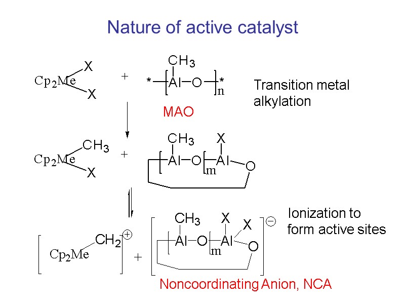 Nature of active catalyst Transition metal alkylation Ionization to form active sites MAO Noncoordinating